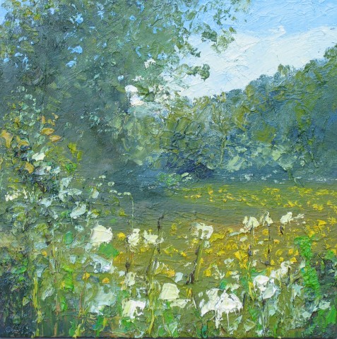 Buttercup Meadow