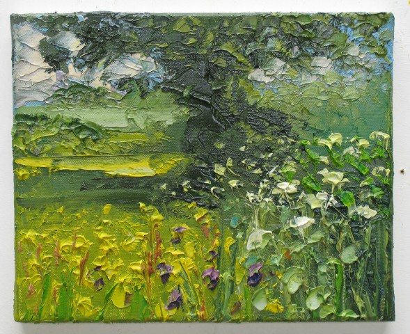 Buttercups and Cow Parsley