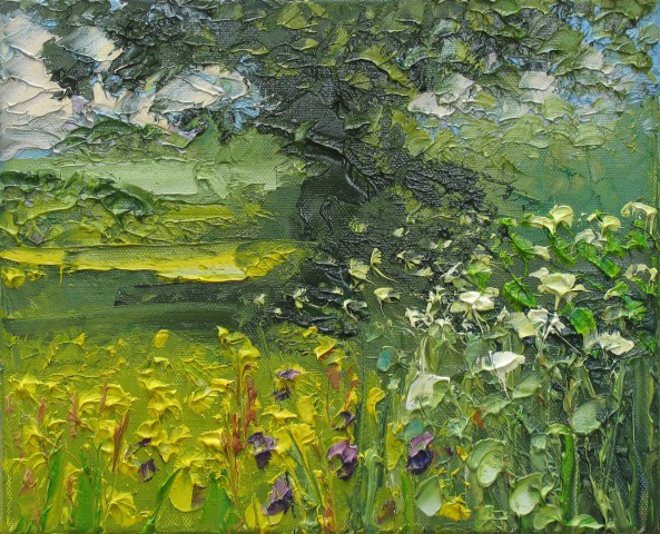 Buttercups and Cow Parsley