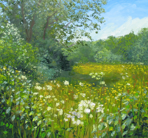 Buttercups and Cow Parsley